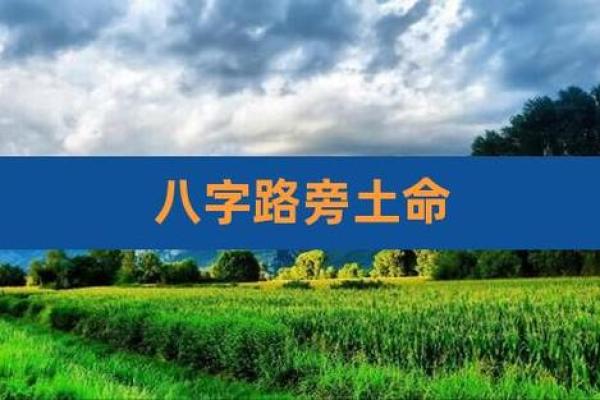 路旁土命与命克:如何化解土命的困扰? 路旁土命与命克:如何化解土命的困扰?