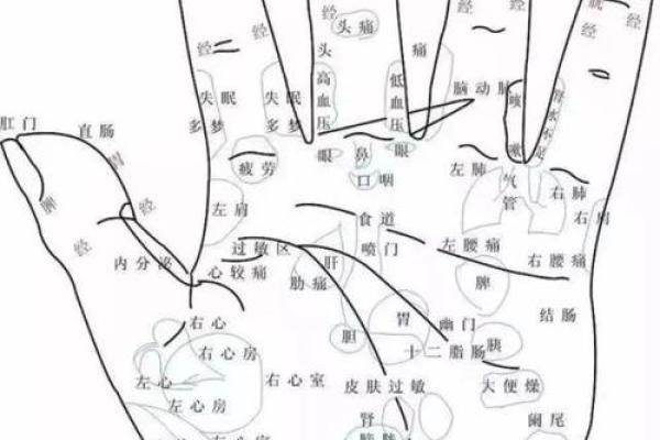男人膝盖一条纹路的命运解析:揭示你的生活与性格秘密 男人膝盖一条纹路的命运解析:揭示你的生活与性格秘密