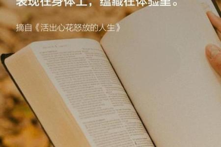 男命红粉生涯：追寻内心之光，解读人生的多彩层面