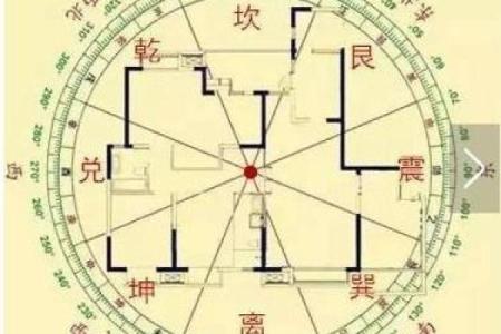 探索命盘中财与身的深层含义：解读命理学的智慧之美