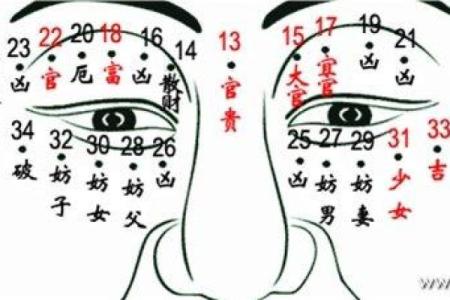 男下颚有痣，命运如何？深入解析痣相对人生的影响！