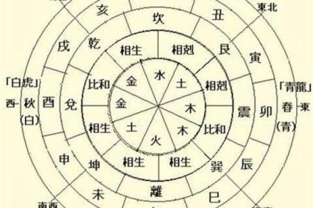 龙命理解析：如何选择适合女性的命理方向与风水建议