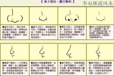 命运的交错与文化的纷争：解读被发左衽的深意与影响