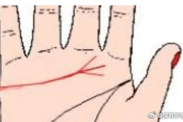 探秘坎宫东四命男:命运背后的深意与解析 探秘坎宫东四命男:命运背后的深意与解析