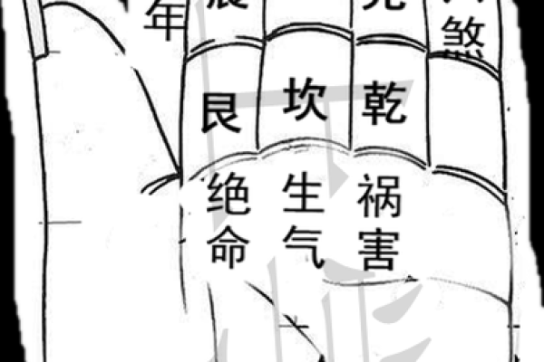 探秘命卦中的延年:解码时间与生命的奥秘 探秘命卦中的延年:解码时间与生命的奥秘