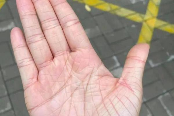 女人手纹分析:二婚命好的秘密,揭示你的幸福与重生 女人手纹分析:二婚命好的秘密,揭示你的幸福与重生
