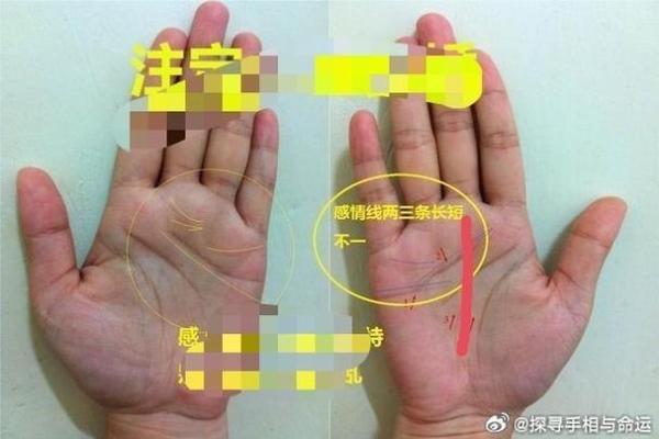 女人手纹分析:二婚命好的秘密,揭示你的幸福与重生 女人手纹分析:二婚命好的秘密,揭示你的幸福与重生