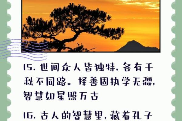 命带黑木马,解密命理背后的财富与智慧 命带黑木马,解密命理背后的财富与智慧