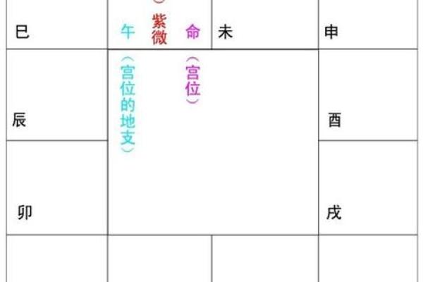 命带紫微星的奥秘与人生启示 命带紫微星的奥秘与人生启示