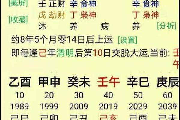 命主与坐命的区别:探秘命理中的真正内涵与意义 命主与坐命的区别:探秘命理中的真正内涵与意义
