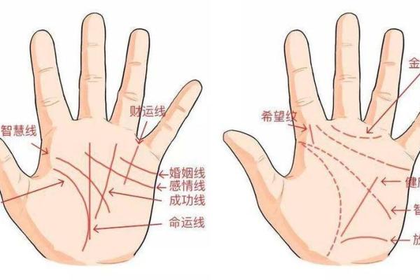 女性手相解析:揭示你命运与个性的奥秘 女性手相解析:揭示你命运与个性的奥秘