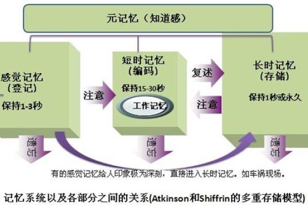 命理学中的“伤妻害子”解析与应对策略 命理学中的“伤妻害子”解析与应对策略