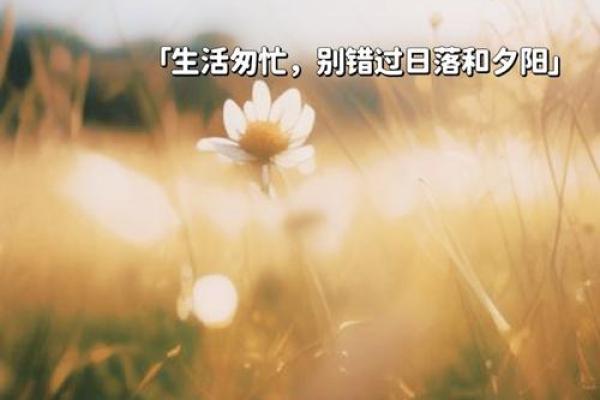 探寻内心的宁静:生活中的小确幸与幸福感 探寻内心的宁静:生活中的小确幸与幸福感