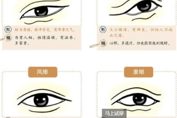 面相解析:人中宽大者的命运特征与人生之路 面相解析:人中宽大者的命运特征与人生之路