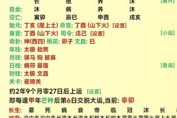 命理探秘:带食神的意义与影响分析 命理探秘:带食神的意义与影响分析