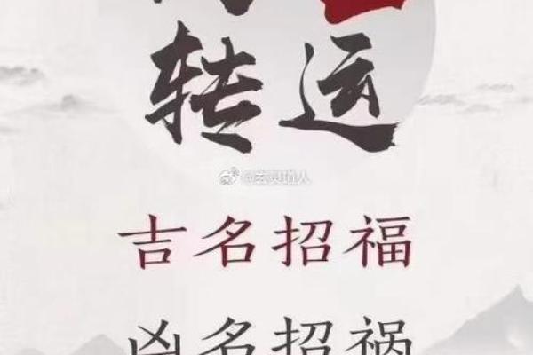木命女孩命名学:选择适合的名字让幸福伴随一生 木命女孩命名学:选择适合的名字让幸福伴随一生