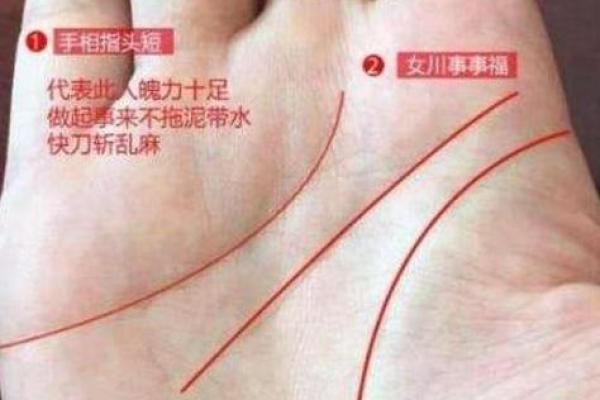 男命四两0钱:深度揭秘命理中的财富与命运关系 男命四两0钱:深度揭秘命理中的财富与命运关系