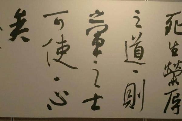 命里战兵道:洞悉人生的智慧与力量 命里战兵道:洞悉人生的智慧与力量