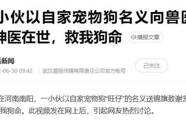 梦见狗狗救我命:解析梦境背后的深意与启示 梦见狗狗救我命:解析梦境背后的深意与启示