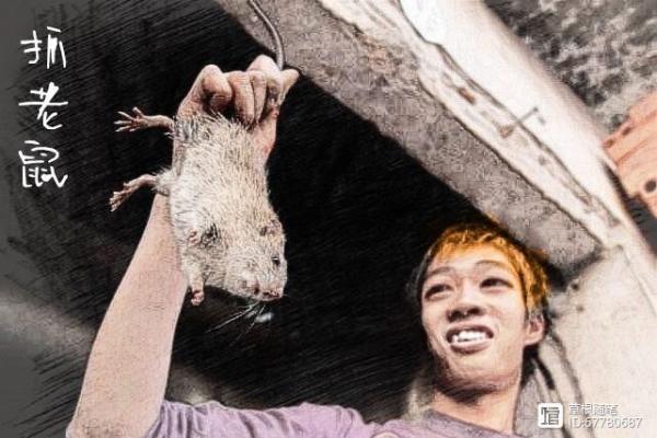 揭开《梁上之鼠》背后的命理秘密与人生启示 揭开《梁上之鼠》背后的命理秘密与人生启示