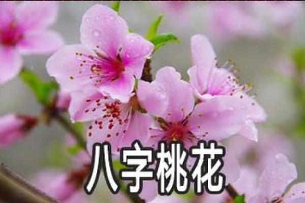 命理解析:女命中“六朵桃花”的深刻意义与影响 命理解析:女命中“六朵桃花”的深刻意义与影响