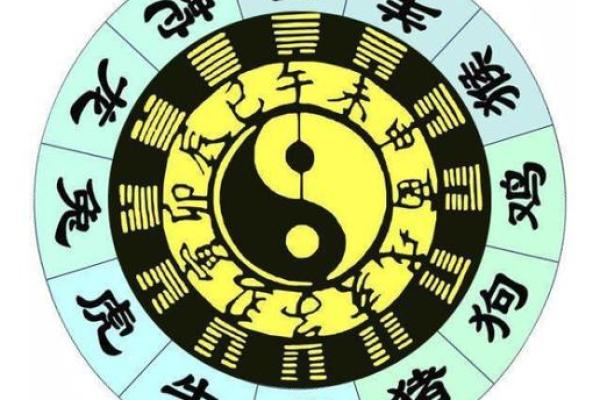 命局五行缺失的潜在危害与调和对策探讨 命局五行缺失的潜在危害与调和对策探讨