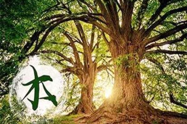 路旁土命女缺木,如何选择适合的幸运物? 路旁土命女缺木,如何选择适合的幸运物?