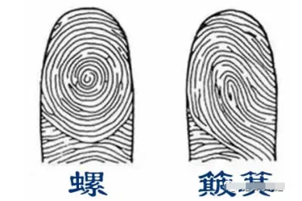 没有一个簸箕是什么命?探寻生命中的隐喻与哲思 没有一个簸箕是什么命?探寻生命中的隐喻与哲思