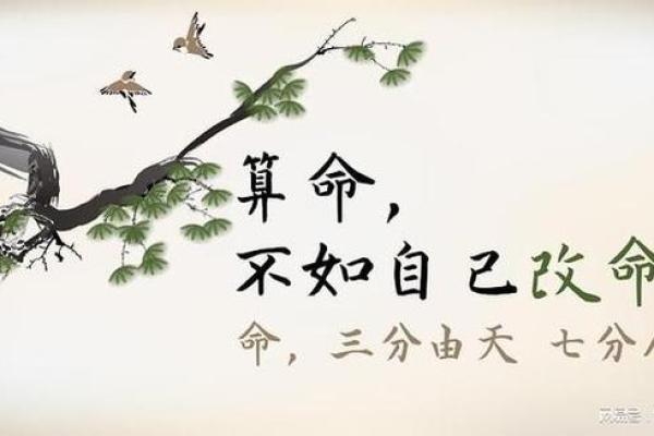 命理缺木的人生影响及补救方法探讨 命理缺木的人生影响及补救方法探讨