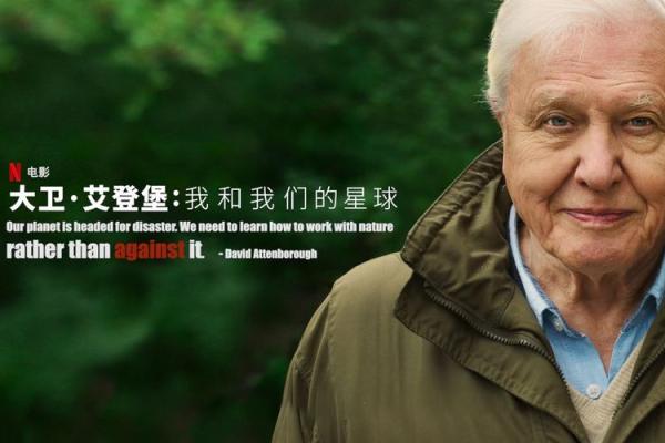 探索命理的奥秘:命格如何影响你我生命的旅程 探索命理的奥秘:命格如何影响你我生命的旅程