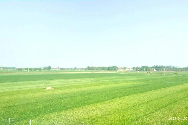 农民的命运与希望:生活在土地上的印记 农民的命运与希望:生活在土地上的印记