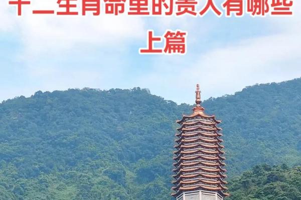 路旁土命羊生什么命孩子:揭秘十二生肖与五行的奥秘 路旁土命羊生什么命孩子:揭秘十二生肖与五行的奥秘