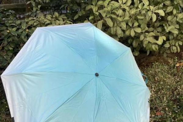 木命缺水,选择什么颜色的雨伞? 木命缺水,选择什么颜色的雨伞?