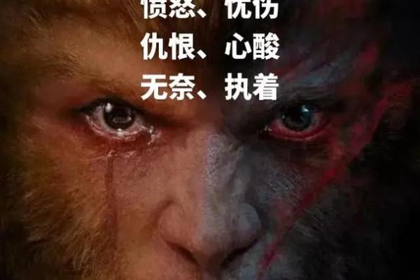 探寻“烂命”的真谛:生活中的无奈与启示 探寻“烂命”的真谛:生活中的无奈与启示