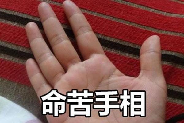 女人四两命的深刻内涵与生活启示 女人四两命的深刻内涵与生活启示