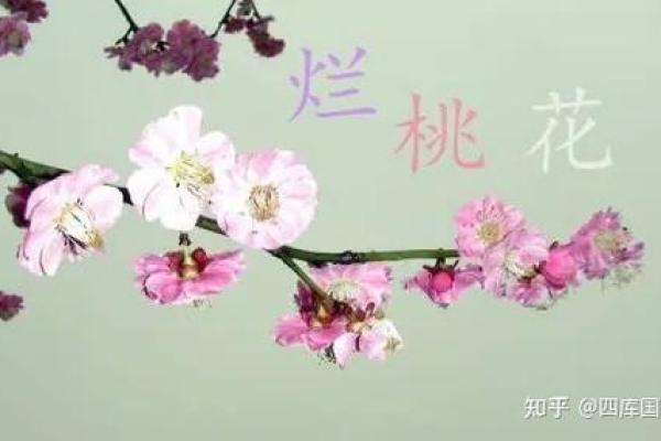 命理解析:元辰桃花的深意与影响力探究 命理解析:元辰桃花的深意与影响力探究