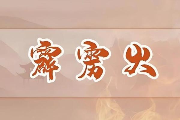 炉中火命:了解这一命格的特征与人生运势 炉中火命:了解这一命格的特征与人生运势