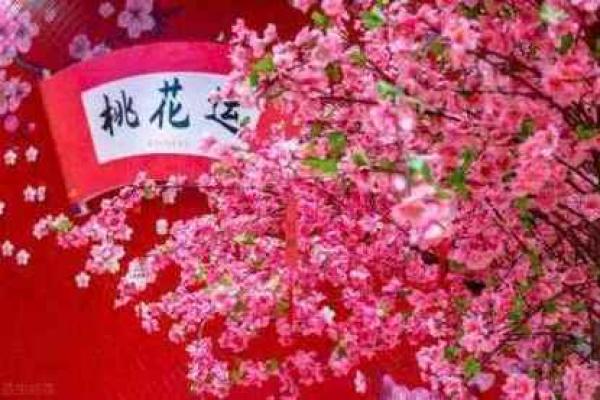 命带挑花的女人:掌握幸福与成功的密钥 命带挑花的女人:掌握幸福与成功的密钥