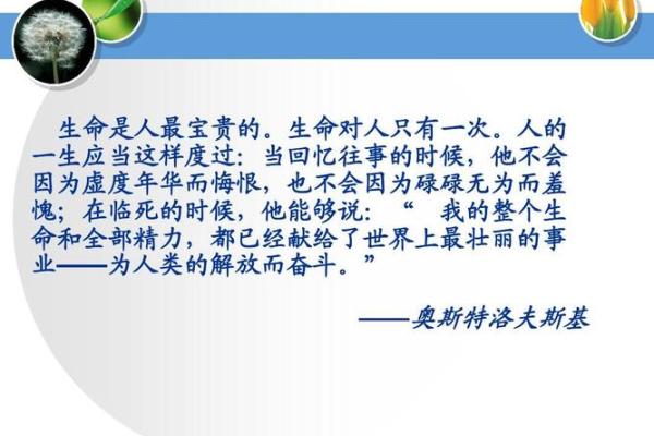 没考大学的命:重新定义成功与人生价值 没考大学的命:重新定义成功与人生价值