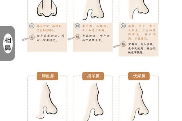 木命与土命的财运结合:相生相克的命理智慧 木命与土命的财运结合:相生相克的命理智慧