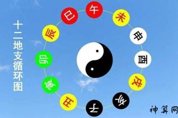 龙年正月五行命理分析:揭示不同命格的运势与性格特点 龙年正月五行命理分析:揭示不同命格的运势与性格特点