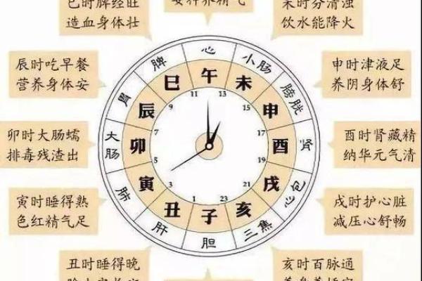 农历8月初三出生的猴命解析:从五行看你的命运之路 农历8月初三出生的猴命解析:从五行看你的命运之路
