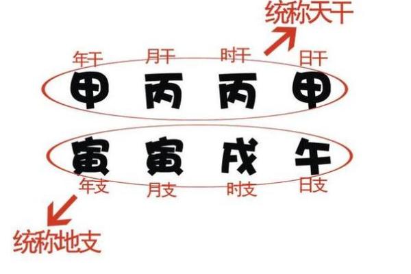 男性命理时柱学堂:揭示命运的智慧与哲学 男性命理时柱学堂:揭示命运的智慧与哲学