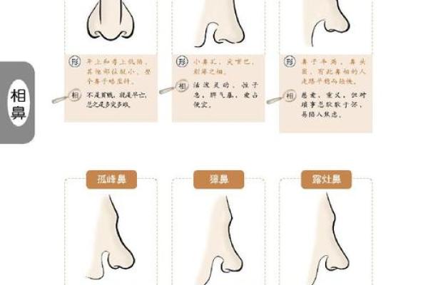 命理相克:探寻命运中隐秘的力量与影响 命理相克:探寻命运中隐秘的力量与影响