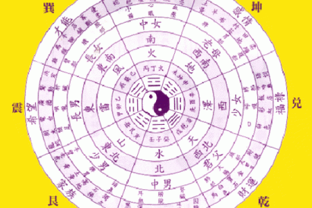 探究女命八字时支的奥秘与影响