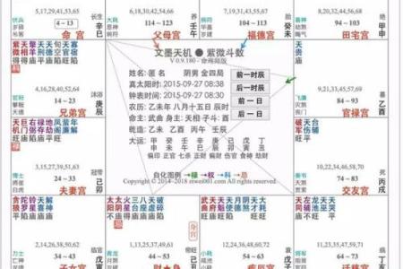 06年出生的人属什么命？深度解析命理与人生轨迹！