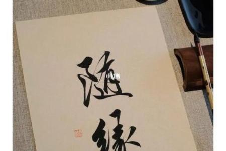 六乙鼠贵命：探寻命理中的深意与人生启示