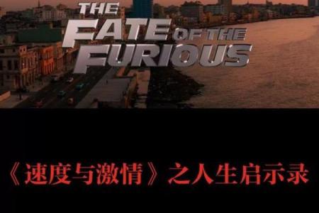 探索伶俐之命：命格解析与人生启示