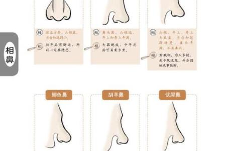 木命与土命的财运结合：相生相克的命理智慧