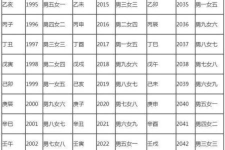 命格丙申解析：中等命的人生特点与运势探秘